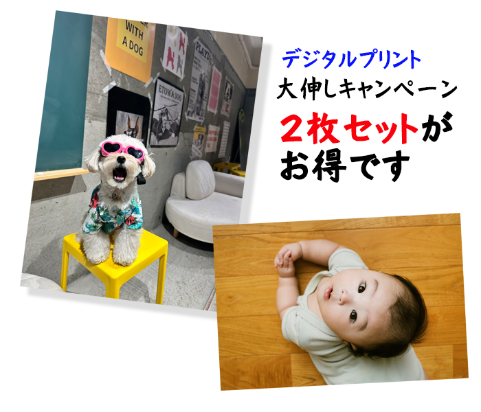 大伸し2枚セットキャンペーン